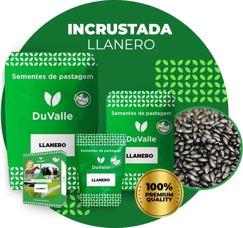 SEMENTE INCRUSTADA DE BRACHIARIA HUMIDICOLA CV LLANERO (DICTYONEURA) - 10KG