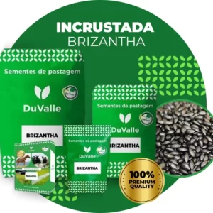SEMENTE INCRUSTADA DE BRAQUIARIA BRIZANTHA CV MARANDU (BRIZANTÃO, BRAQUIARÃO) - 10KG