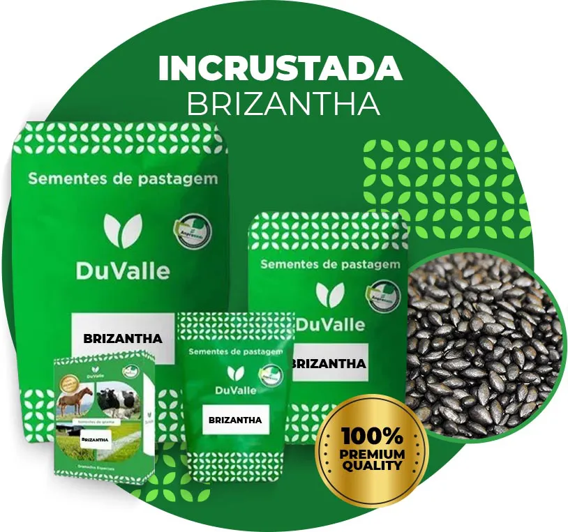 SEMENTE INCRUSTADA DE BRAQUIARIA BRIZANTHA CV MARANDU (BRIZANTÃO, BRAQUIARÃO) - 10KG