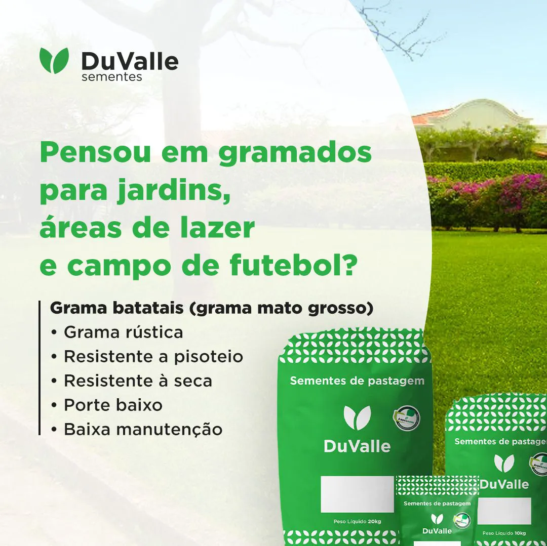 Sementes de Grama Batatais DuValle - Embalagem com 10kg